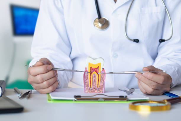 Best Emergency Dentist for Knocked-Out Tooth in Cameron, TX